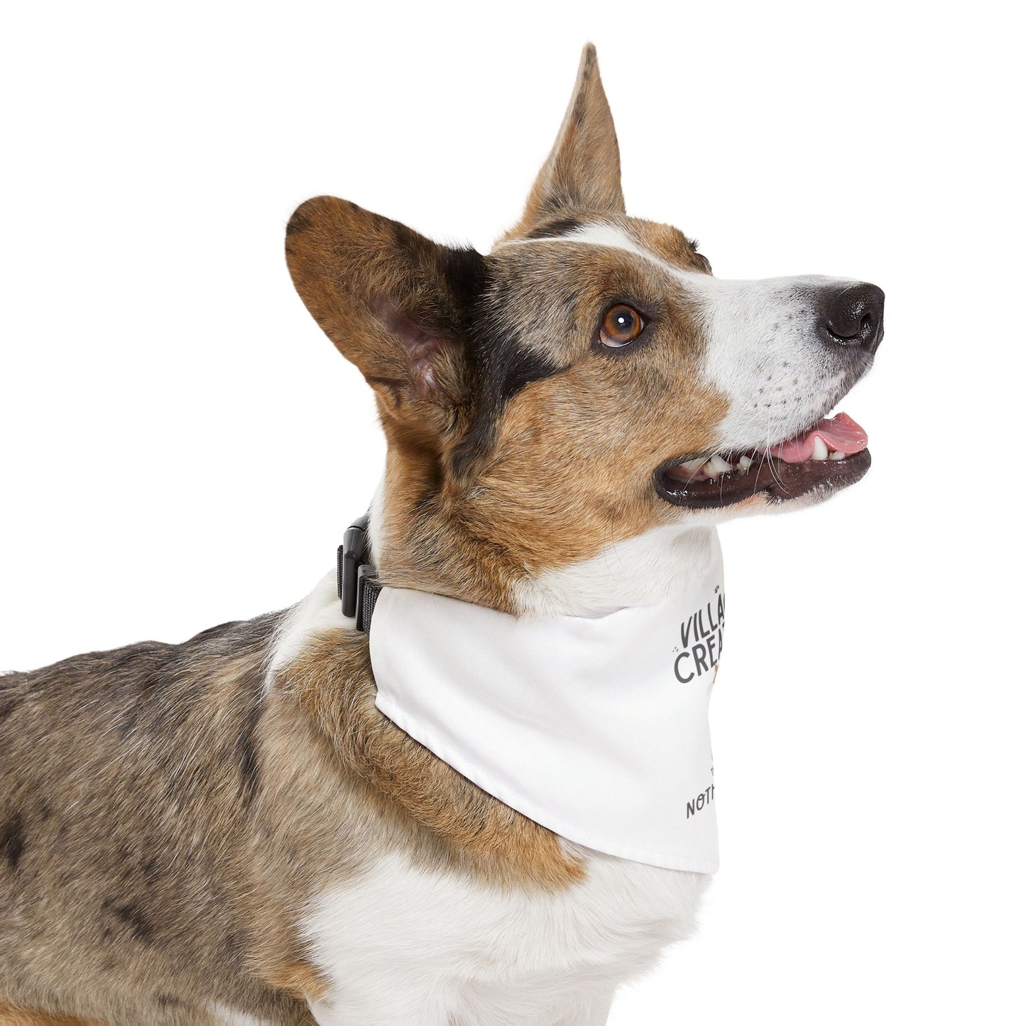 Marmie Pet Bandana