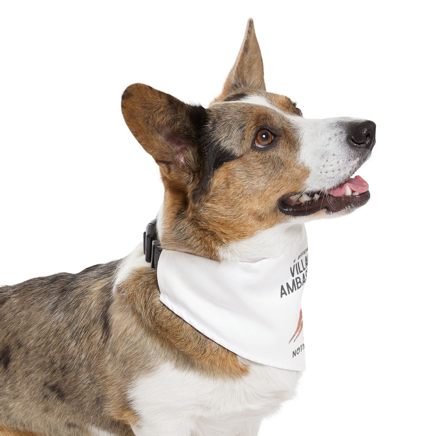 Birdie Pet Bandana