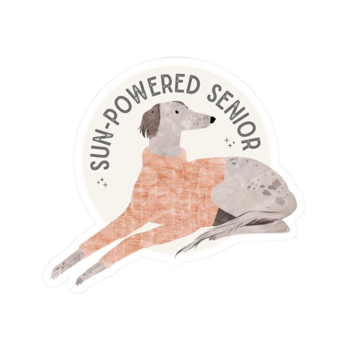 Sun-powered Senior