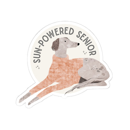 Sun-powered Senior