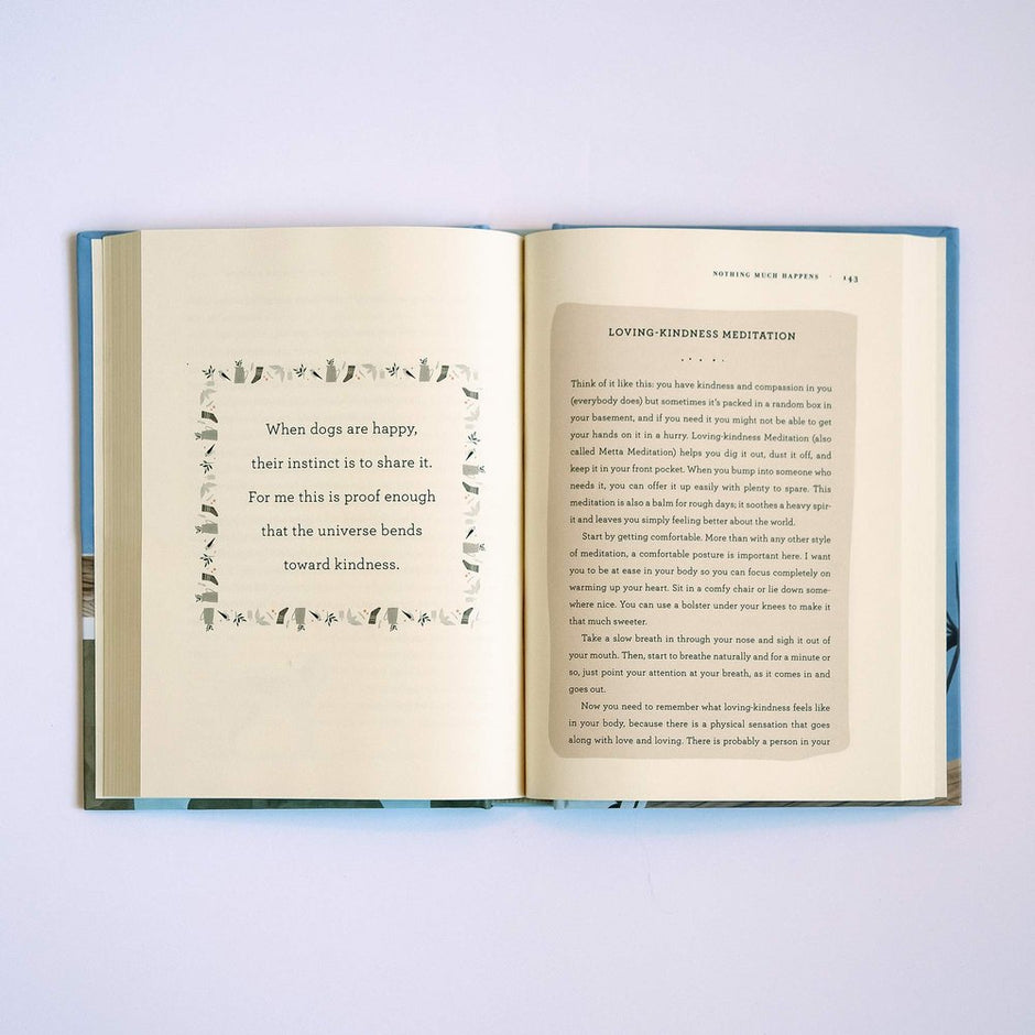 Nothing Much Happens® - Soothing Stories for Restful Sleep | Bookstore