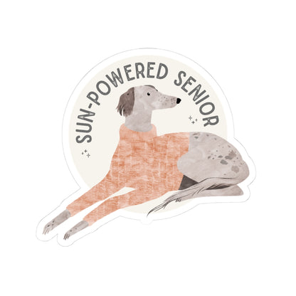 A die-cut sticker featuring an illustration of a greyhound dog wearing a peach-orange sweater, with the text 'SUN-POWERED SENIOR' arched above it on a white background.